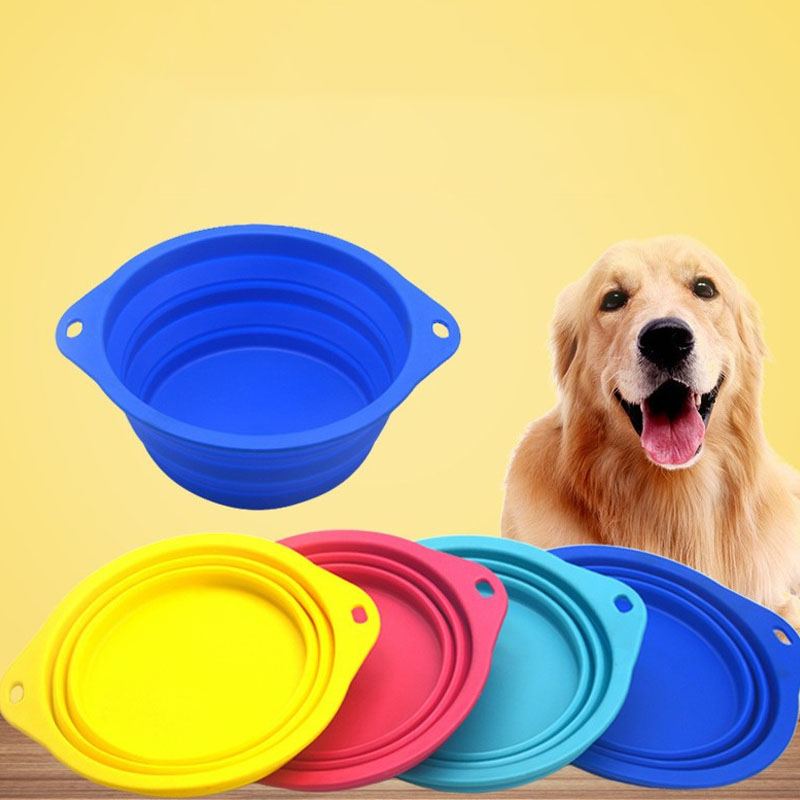 cat water bowl
